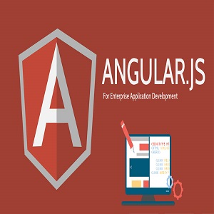 angular js internship nashik